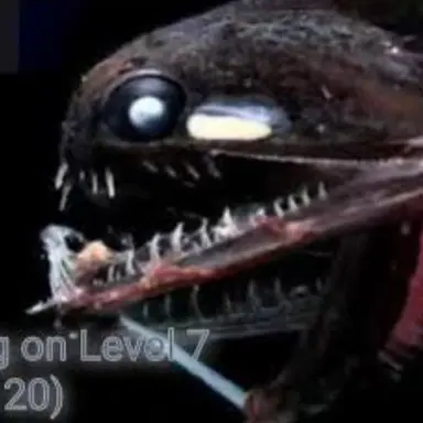 Profile image of 아귀