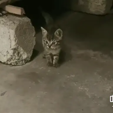 Profile image of 준브레드