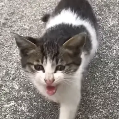 Profile image of 유기사