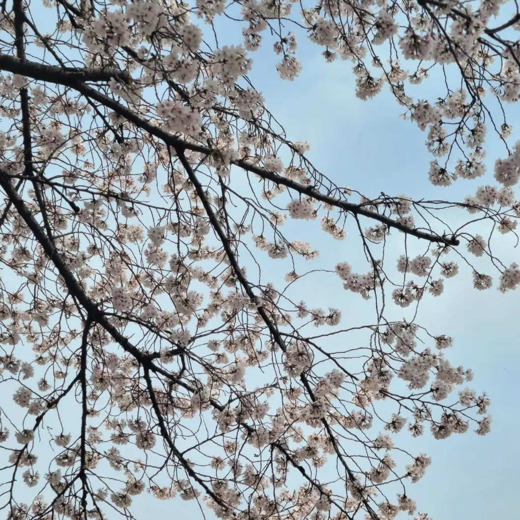 you_Agprww의 無限，永生，精神