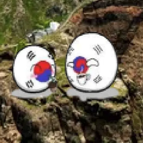NEVADA_51의 독도볼