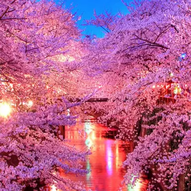 Profile image of 赤城ウェン