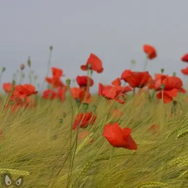 Profile image of 오필리아..