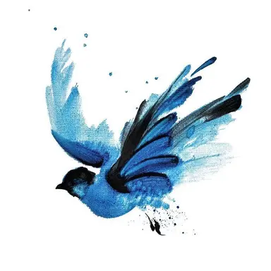 Profile image of 버드