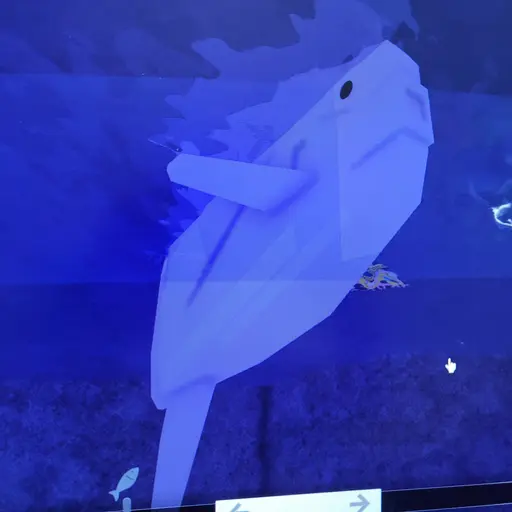 JumpyLake1998의 피쉬