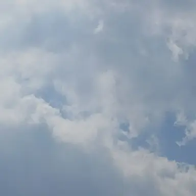 Profile image of 테미
