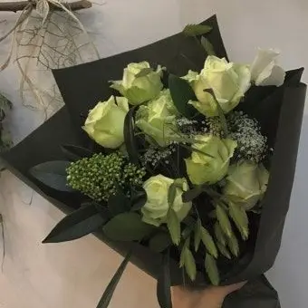 Profile image of 로보 프로스터