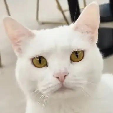 Profile image of 우유