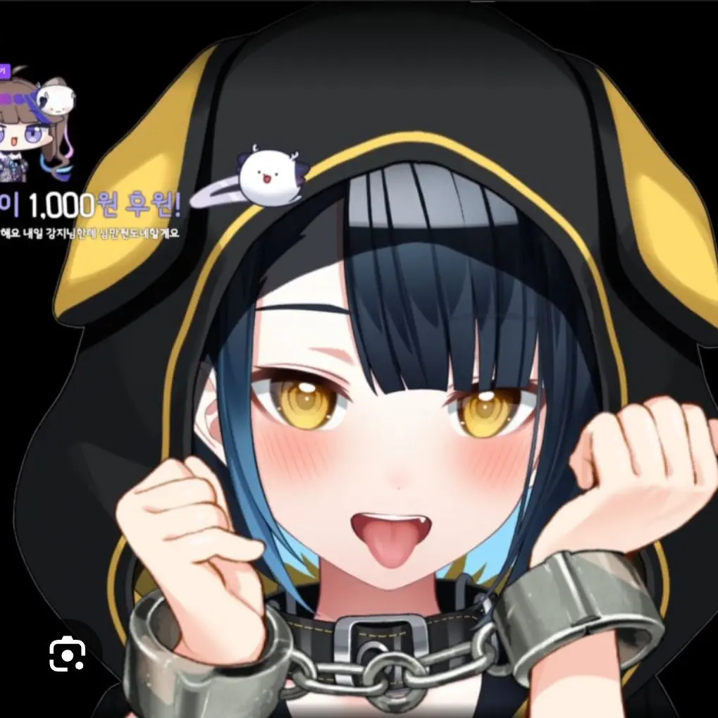 CasualKiwi0506의 진결