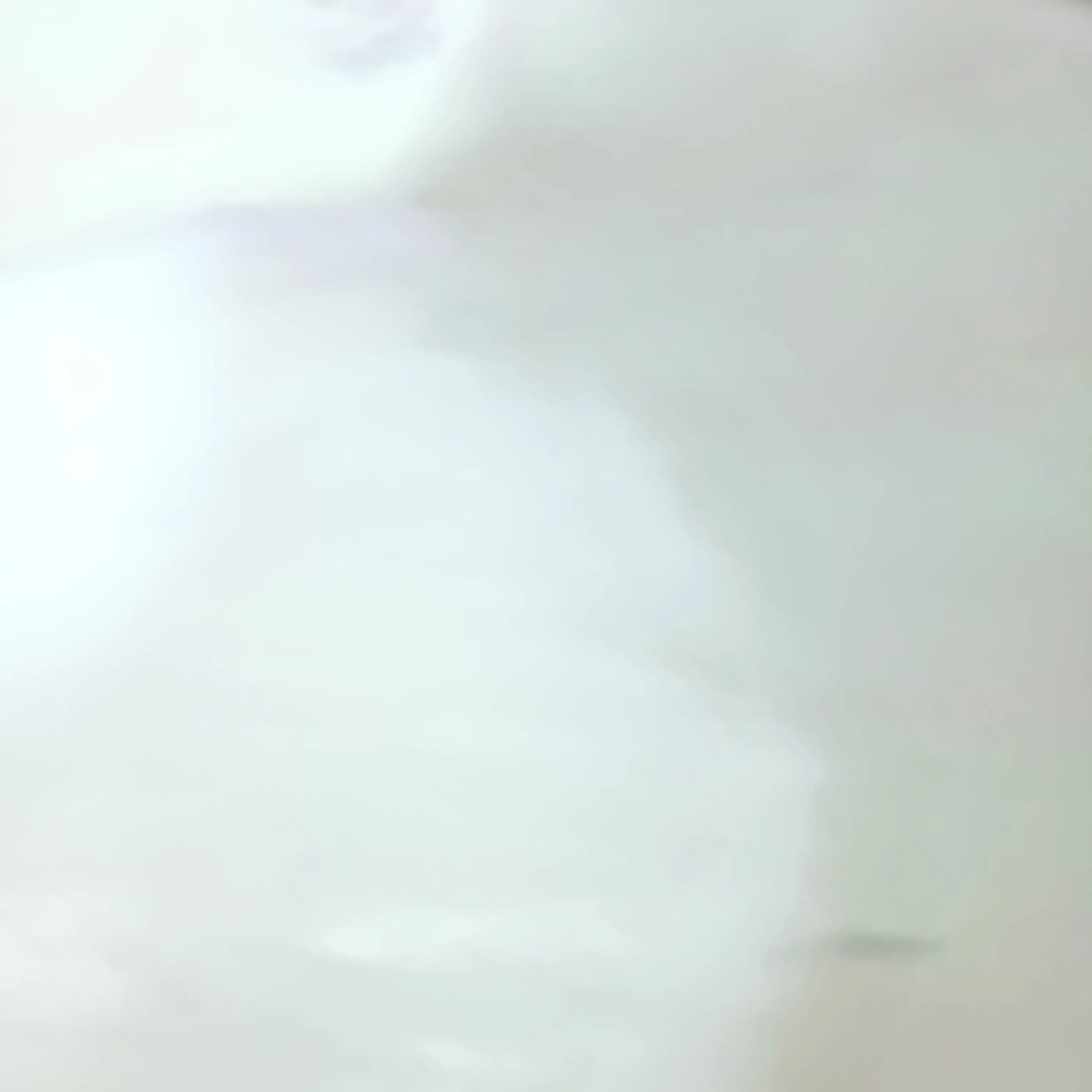 HuskyMouse0622의 입양