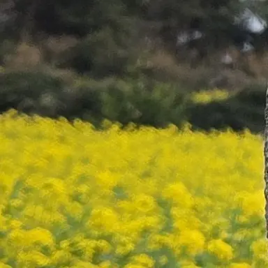 Profile image of 이민호