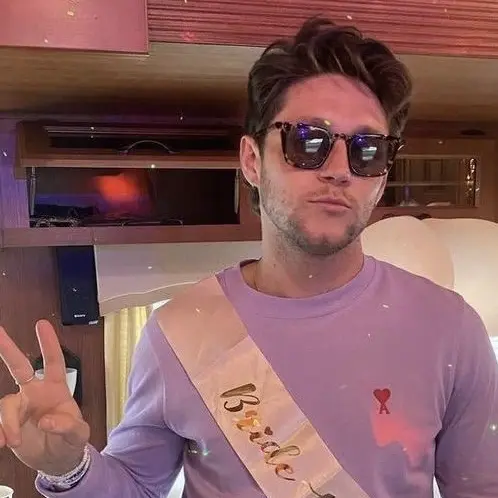NeedyPan9950의 Niall Horan