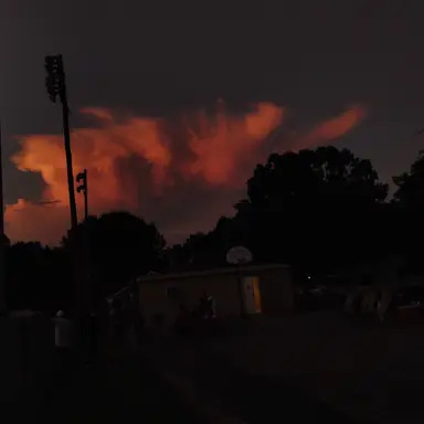 Profile image of Noah