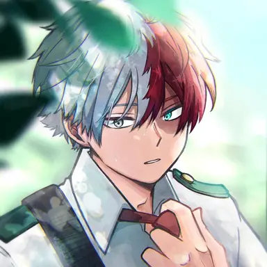 Profile image of Shoto Todoroki