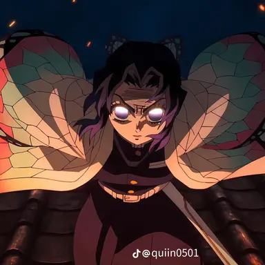 Profile image of 胡蝶しのぶ