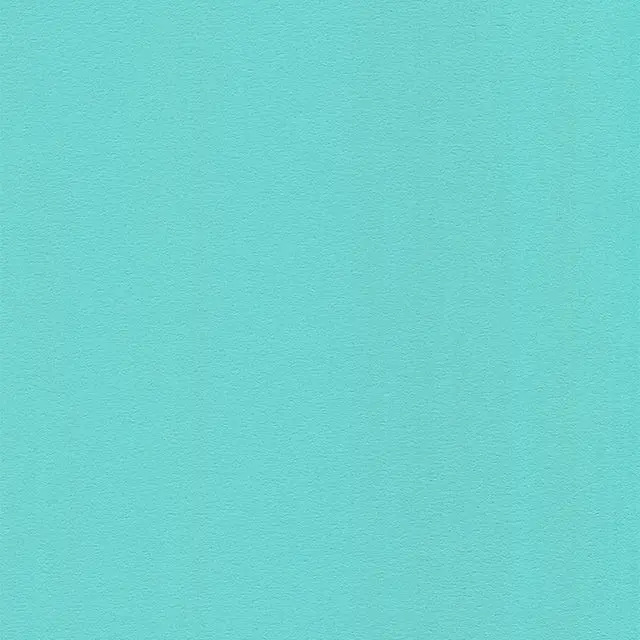 VioletChin0807의 自分用