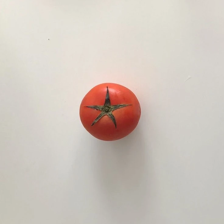 모연주