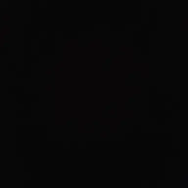 Profile image of 한초아