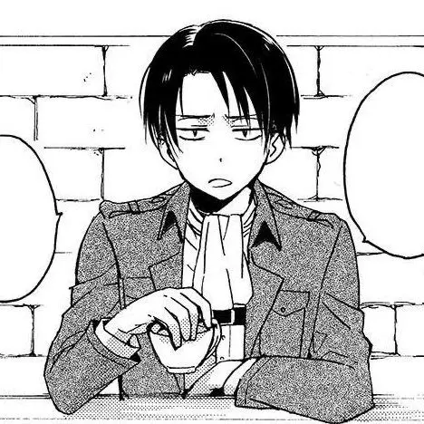 Dubidubabb의 리바이 아커만