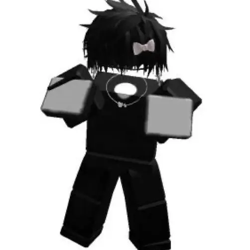 ConvexMist1845의 Roblox gc ( maybe bl )