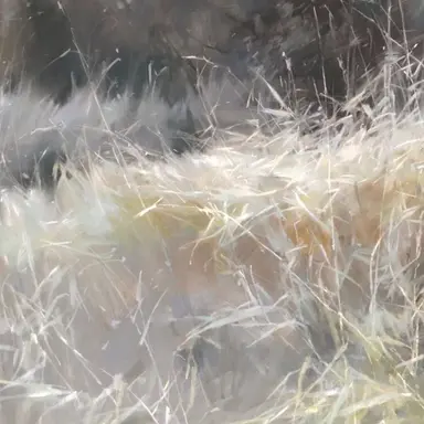 Profile image of 현준