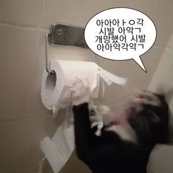 Profile image of 야코 큐비