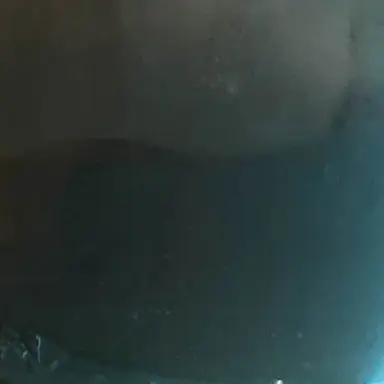 Profile image of 가라라