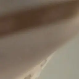 StickyBlow5975의 쌍둥이 커플들
