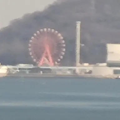 Profile image of 여우