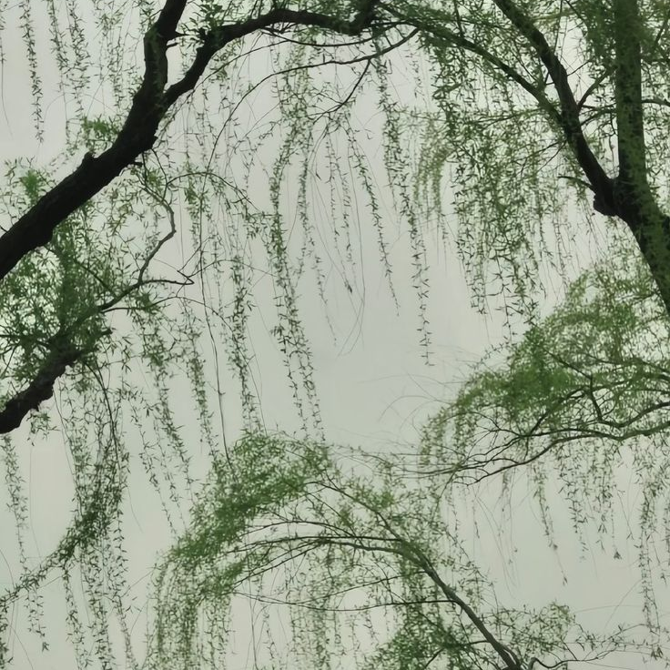 東山 대표 이미지