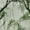 Profile image of 소월