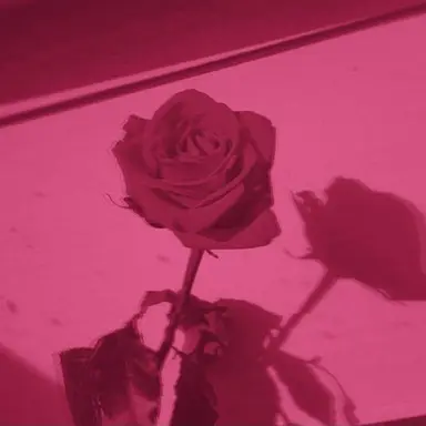 Profile image of 서브스페이스