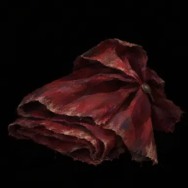 Profile image of 애니