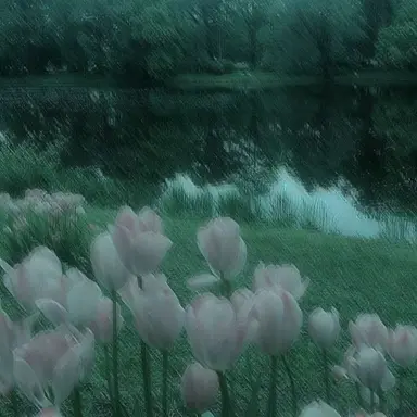 Profile image of 김수환