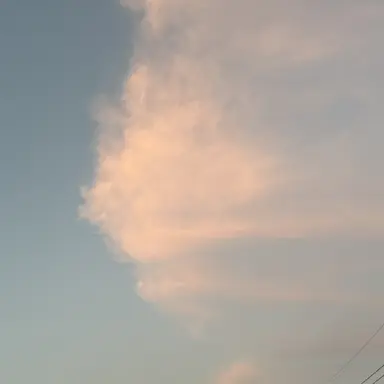 Profile image of 백지헌