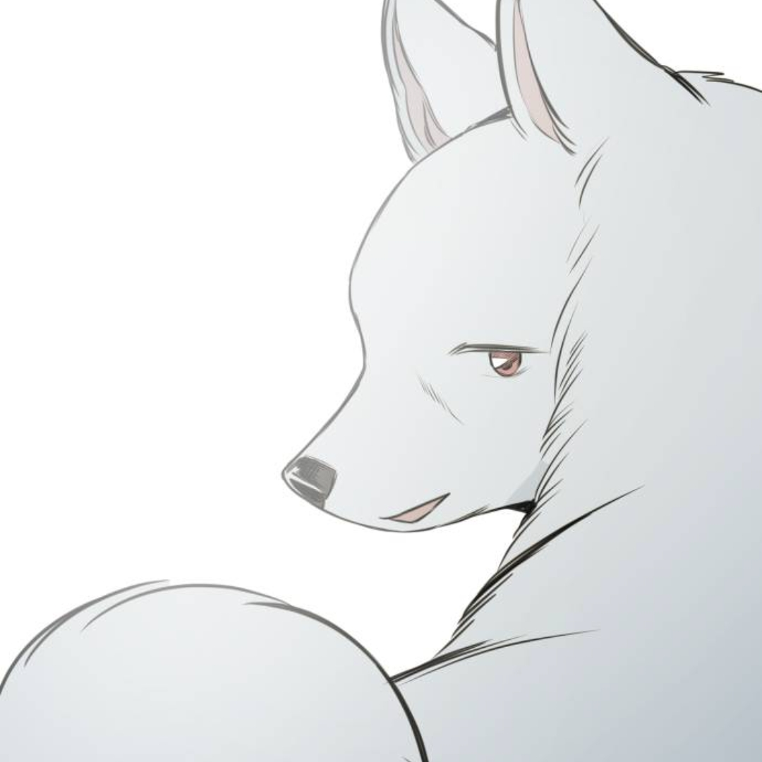 하얀이 대표 이미지