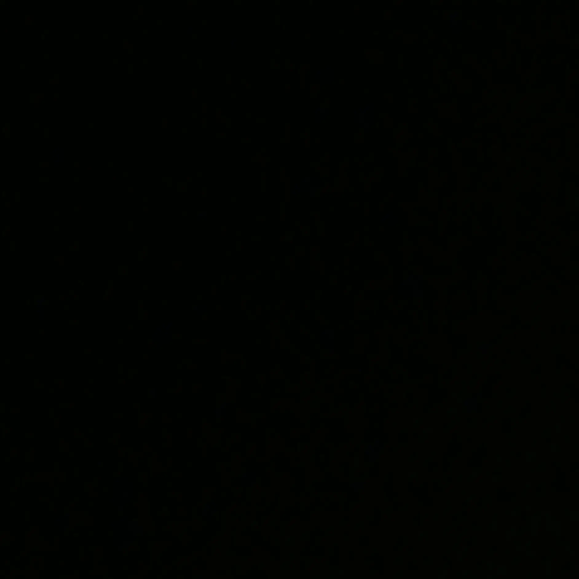 BigZoo9185의 김이한