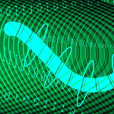 Profile image of ワーム