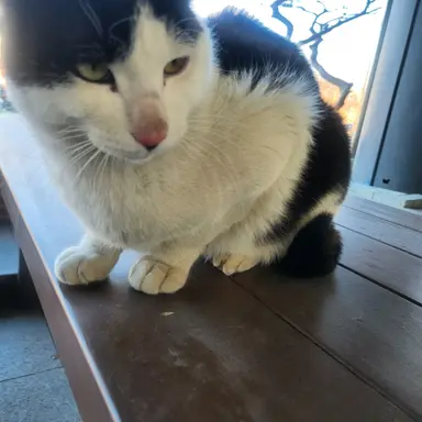 Profile image of 린