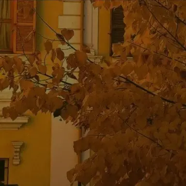 Profile image of 라더