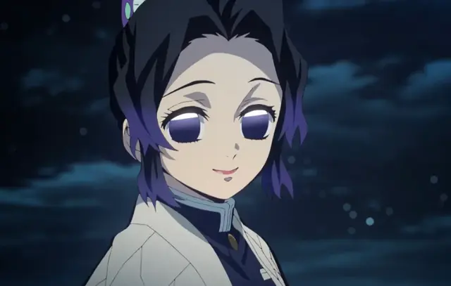 Profile image of 胡蝶しのぶ
