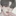 치질