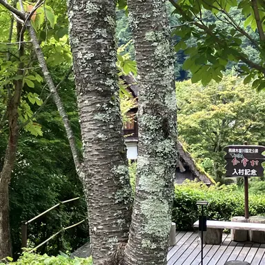 Profile image of 森本慎太郎