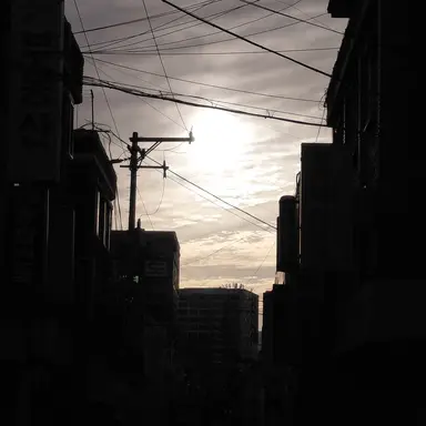 Profile image of 안내자