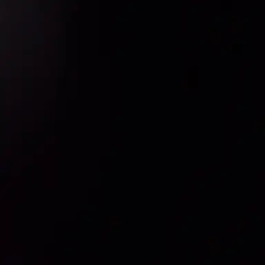 Profile image of 조우안신