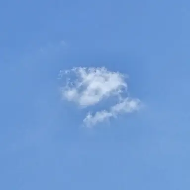 Profile image of 한지성