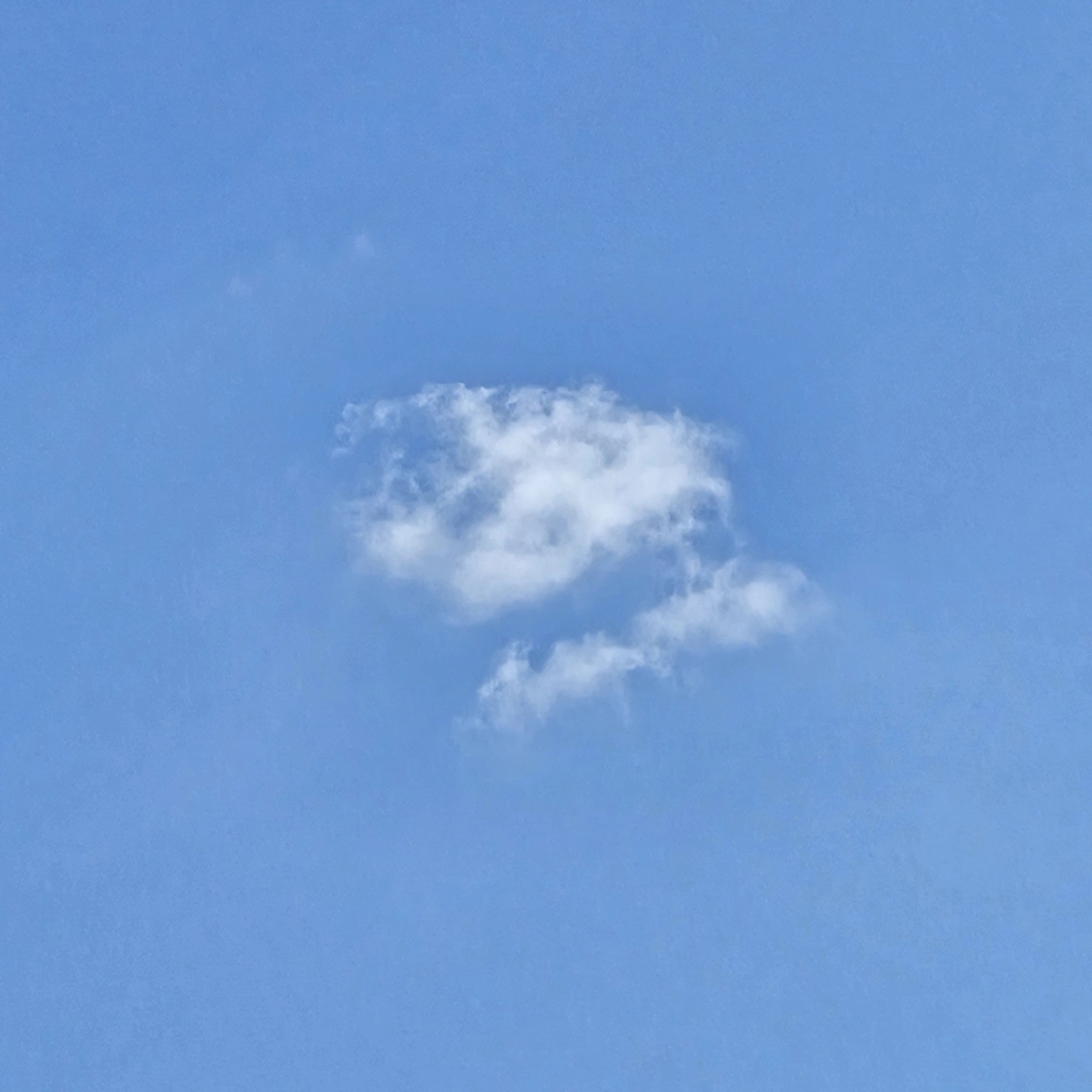한지성