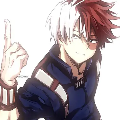 Profile image of Shoto Todoroki