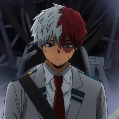 Profile image of Shoto Todoroki