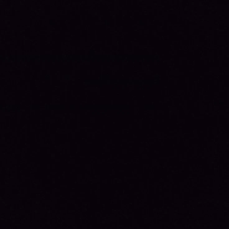 전이정